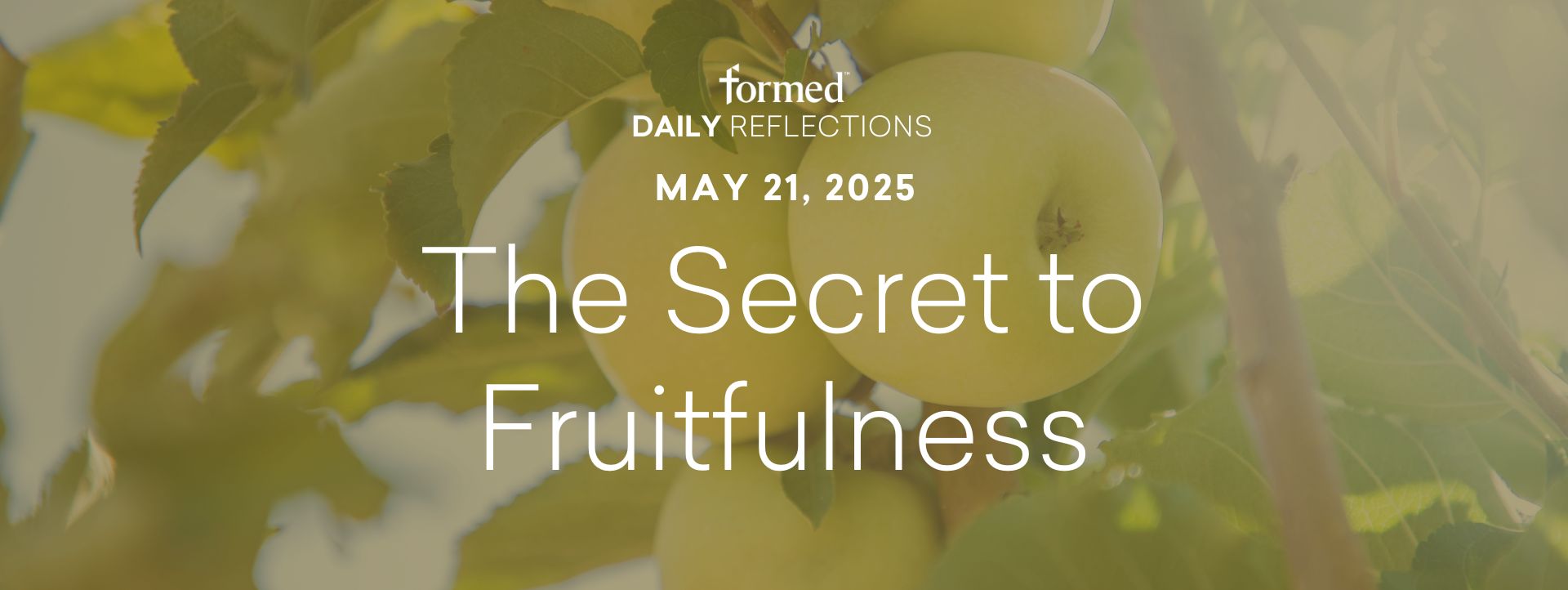 Easter Daily Reflections — May 21, 2025