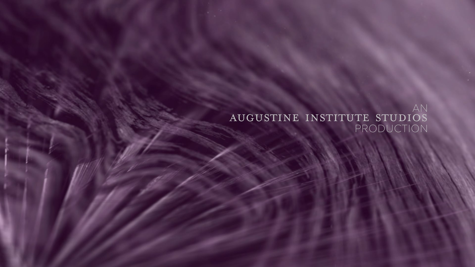 Día 16: "Parábola del hijo pródigo"