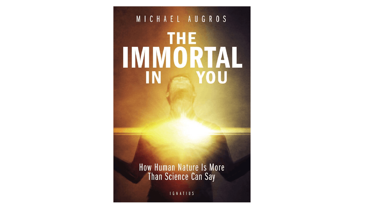 The Immortal in You by Michael Augros