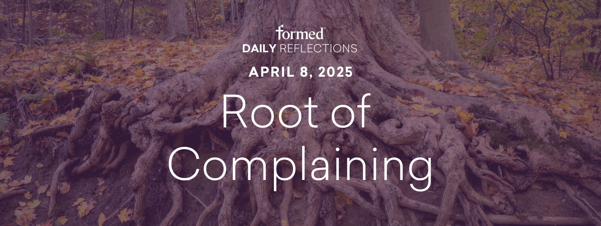 Lenten Daily Reflections — April 8, 2025