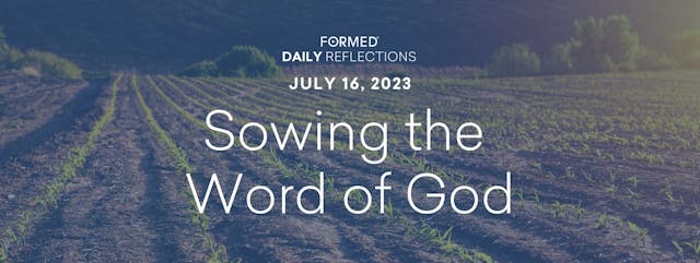 Daily Reflections — July 16, 2023