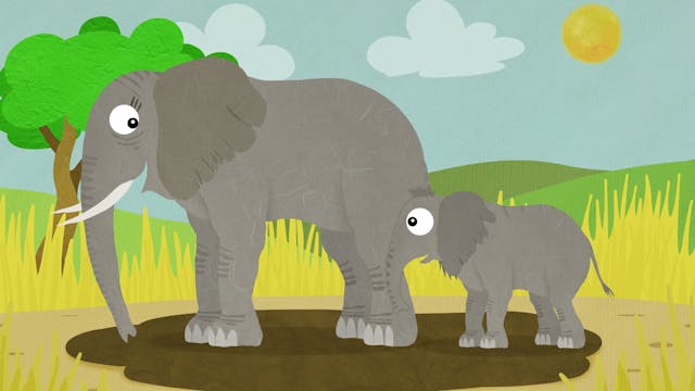 Elephant