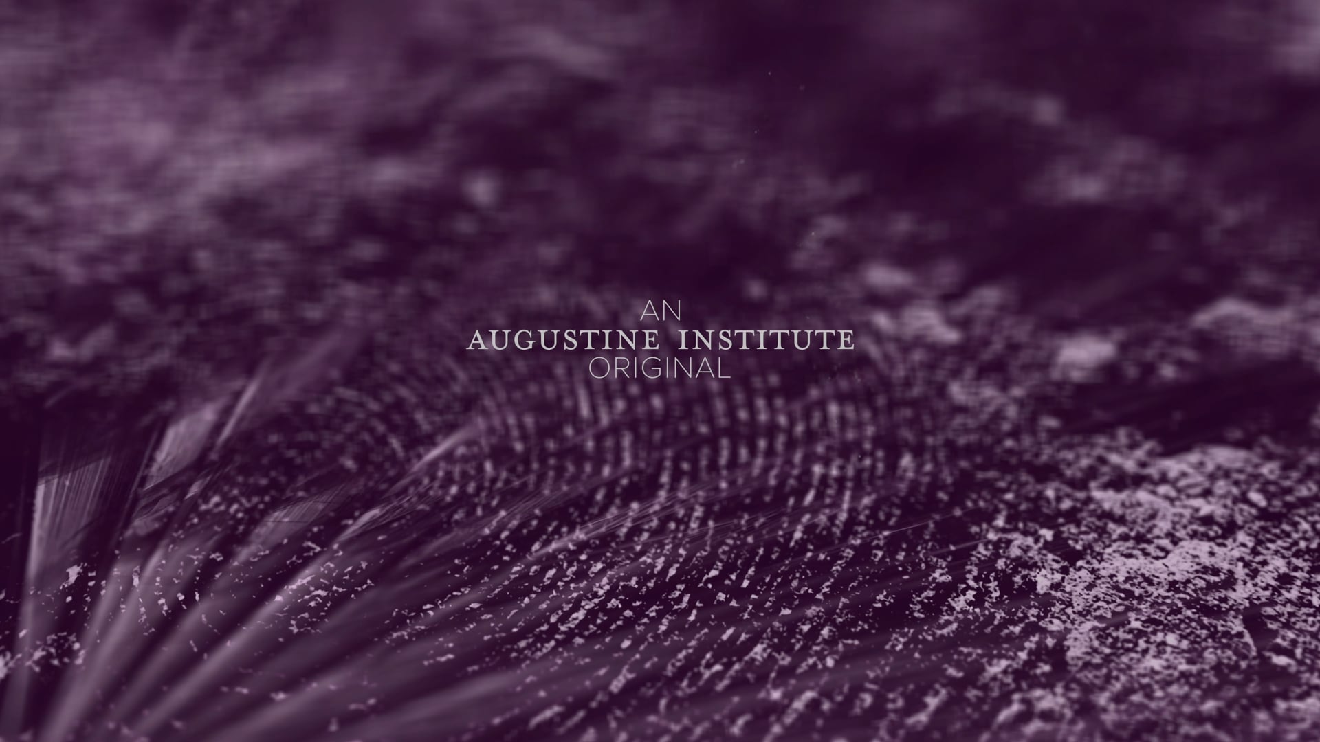 Día 17: "He venido a anunciar la Buena Nueva"