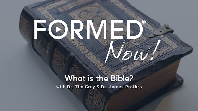 FORMED Now! What is the Bible?