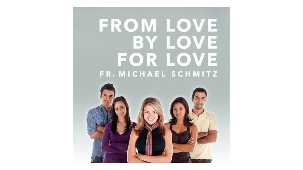 From Love, By Love, For Love: A Deeper Understanding of Sex, Same-Sex Attraction, & Authentic Love by Fr. Mike Schmitz