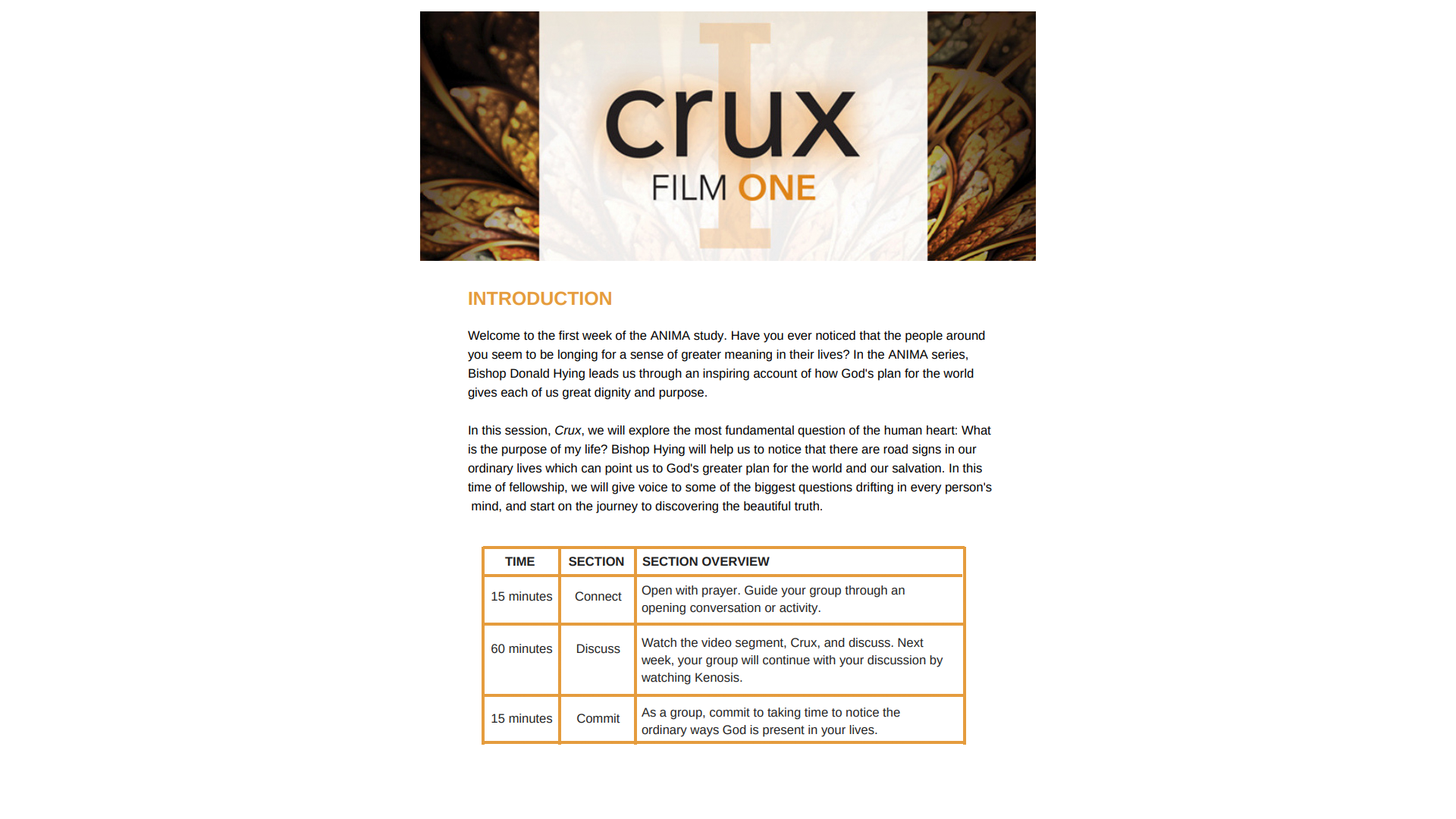 Anima Participant Guide