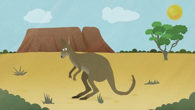Kangaroo