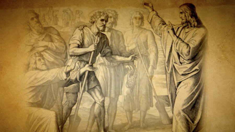 14th Sunday in Ordinary Time—July 9, 2017