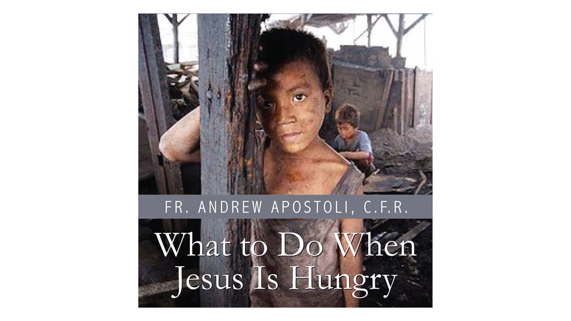 What to Do When Jesus Is Hungry? by Fr. Andrew Apostoli