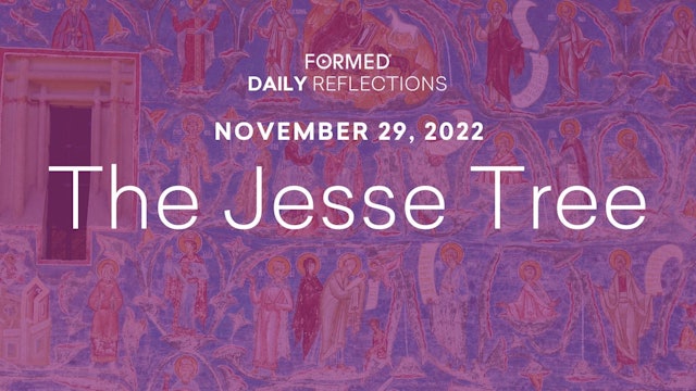 Daily Reflections – November 29, 2022