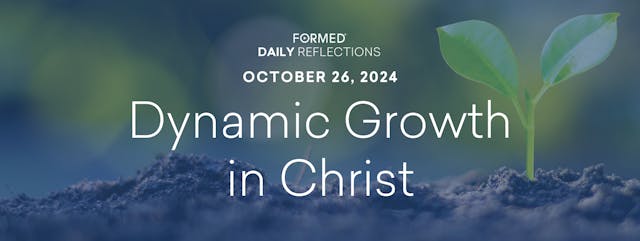 Daily Reflections — October 26, 2024