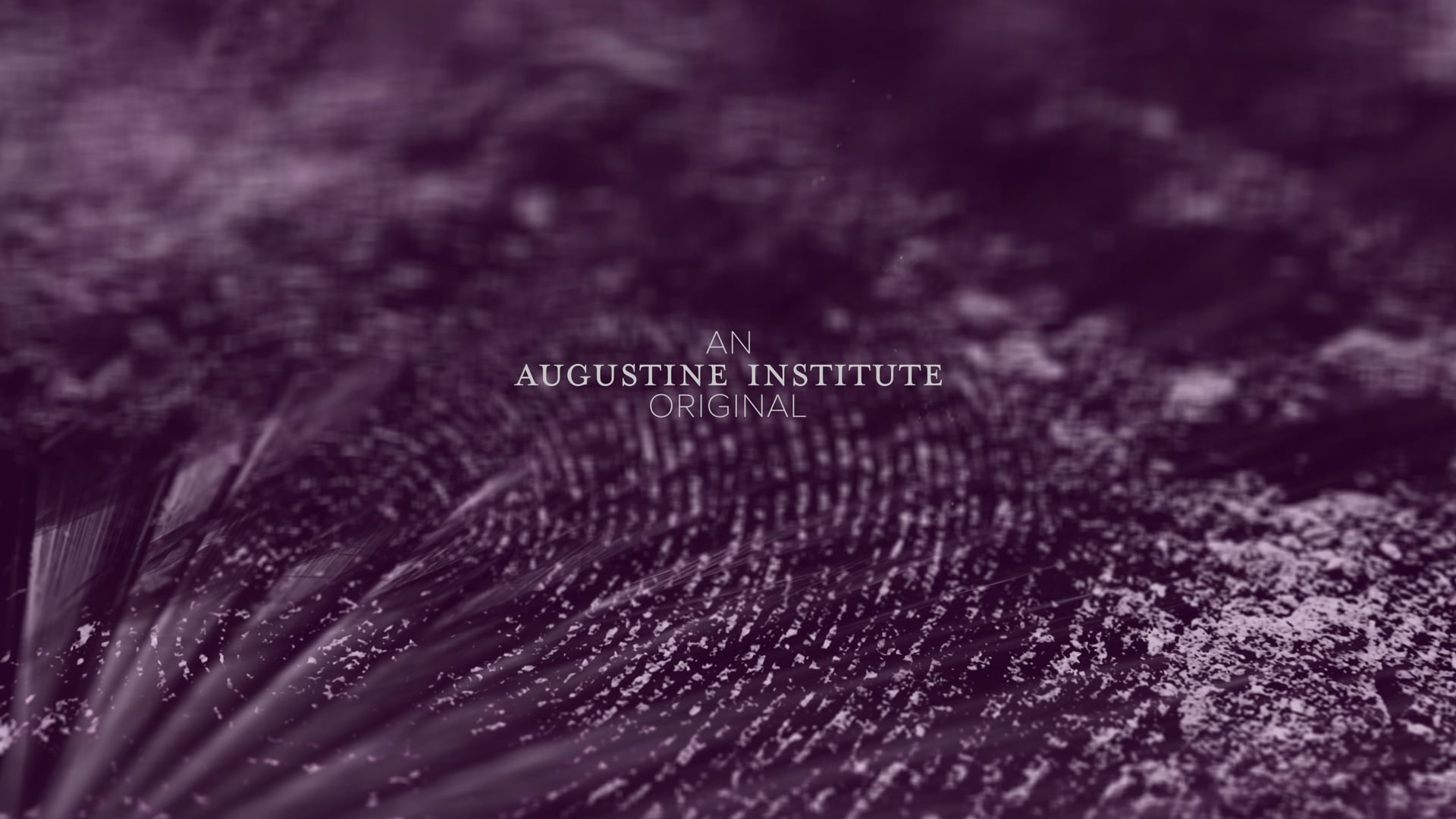 Día 24: "Recoge tu camilla y anda"