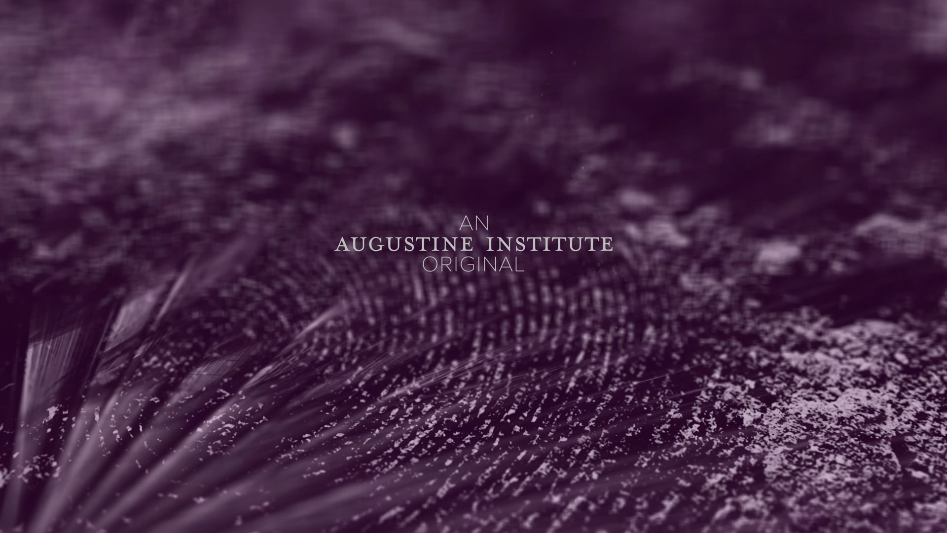 Día 15: "Parábola del dueño de la viña"