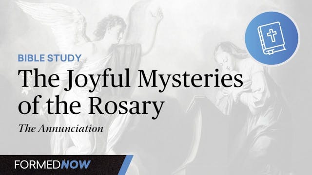 A Bible Study on the Joyful Mysteries...