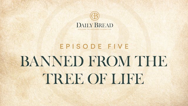 Banned from the Tree of Life | Daily ...
