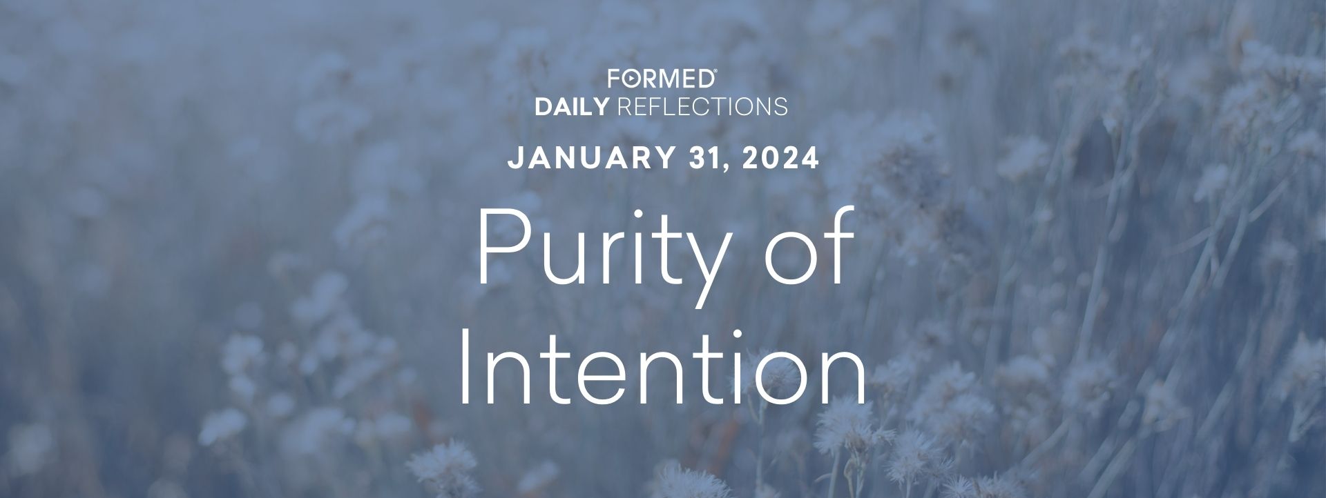 Daily Reflections — Feast of St. John Bosco — January 31, 2024