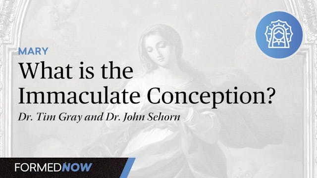 What is the Immaculate Conception?