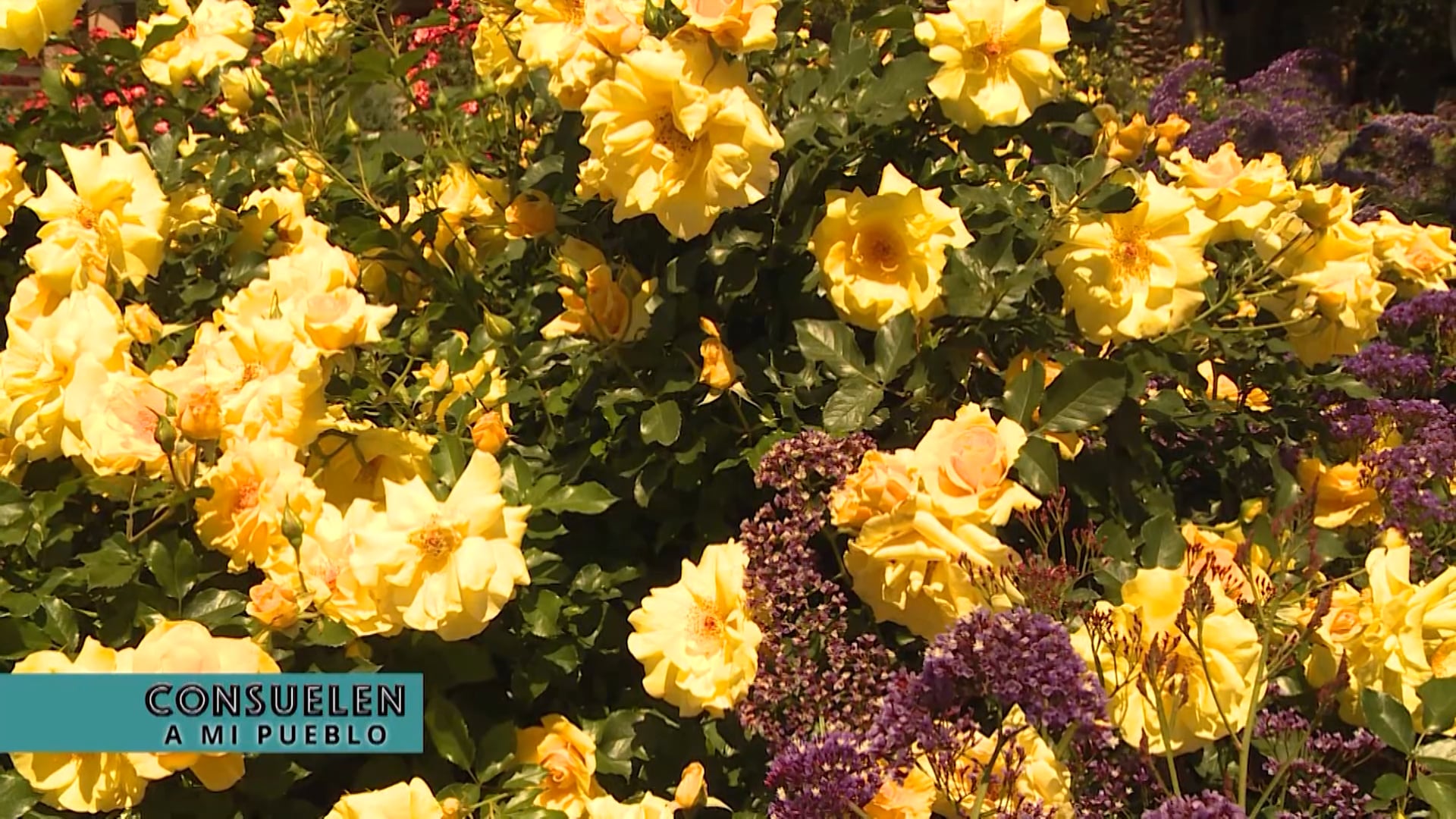 Volver a la casa del Padre, el banquete.