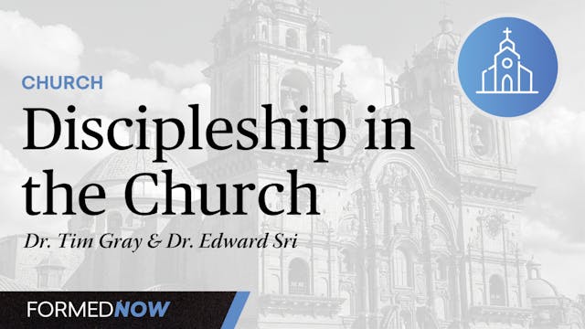 Discipleship in the Church