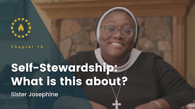 Self-Stewardship: What Is This About ...