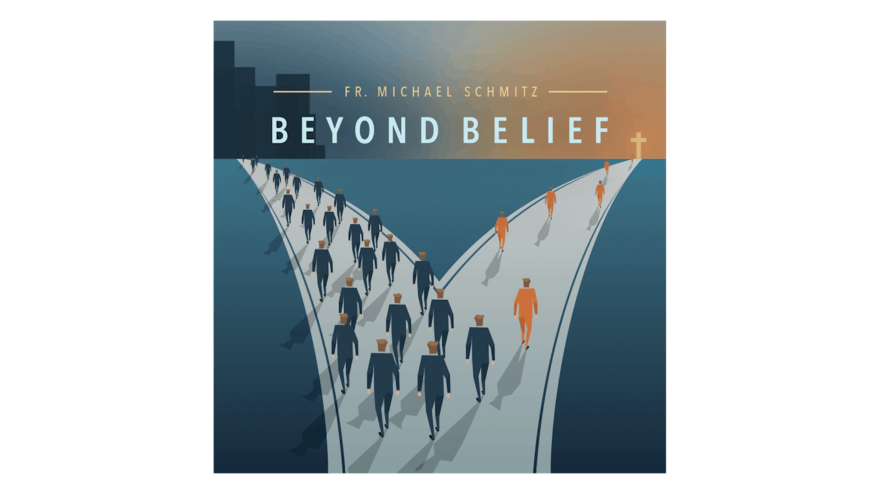 Beyond Belief: Following Christ Today by Fr. Mike Schmitz