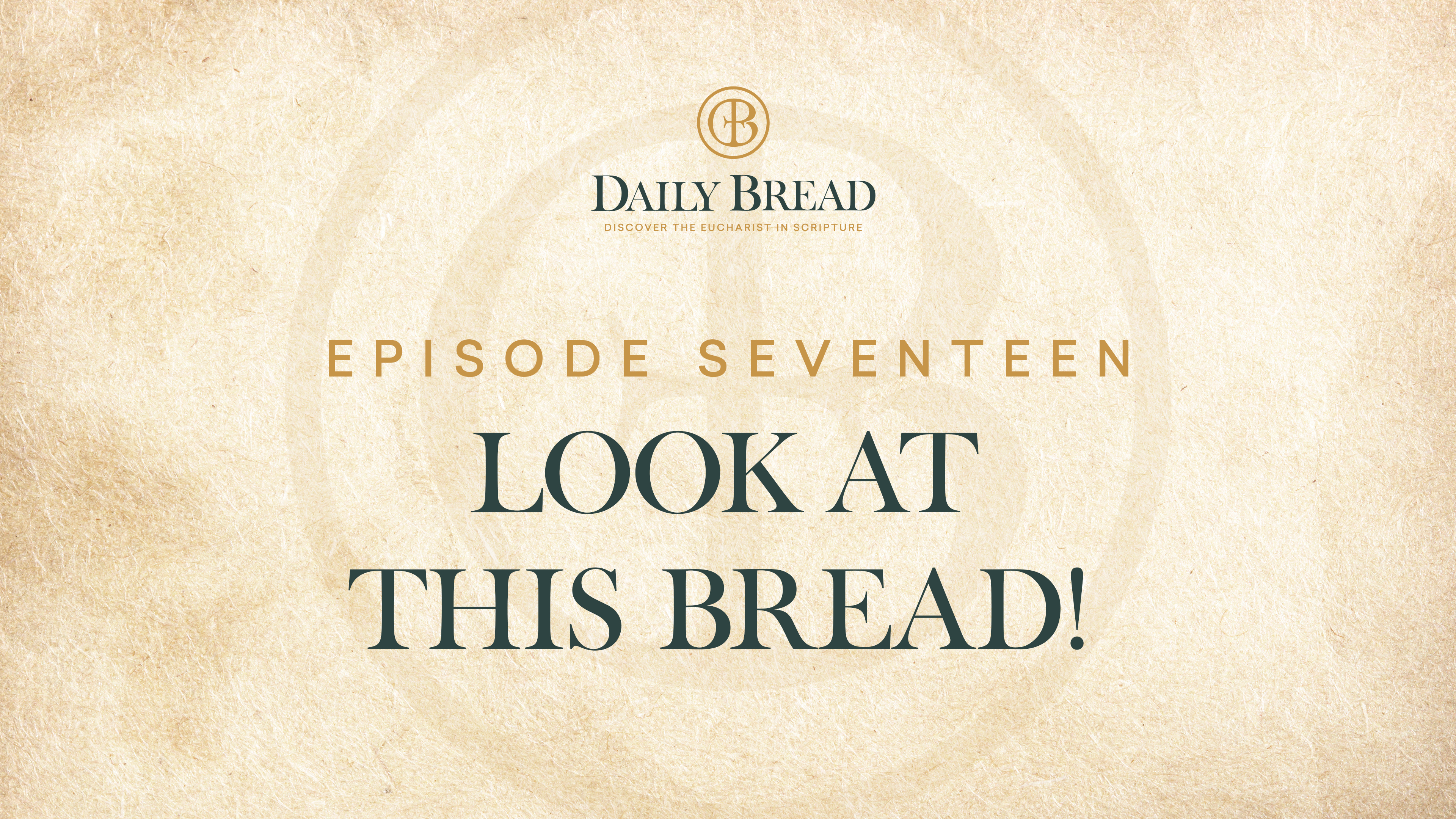 Look at This Bread! | Daily Bread | Episode 17