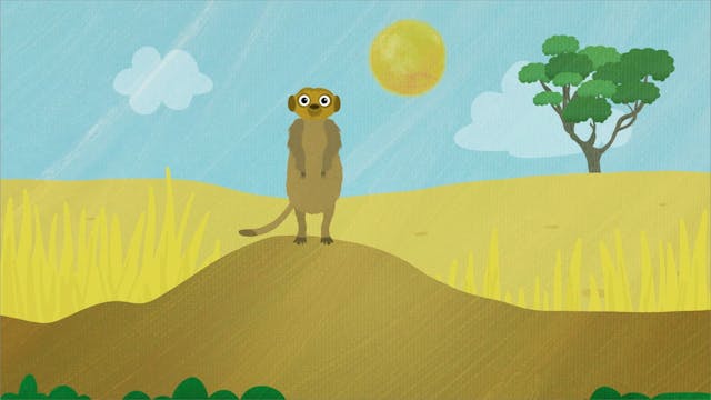 Suricata