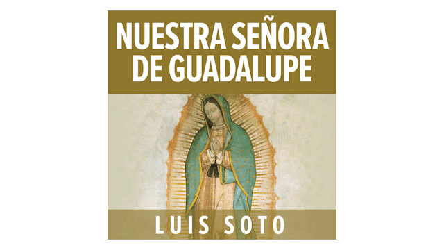 Nuestra Señora de Guadalupe por Luis Soto