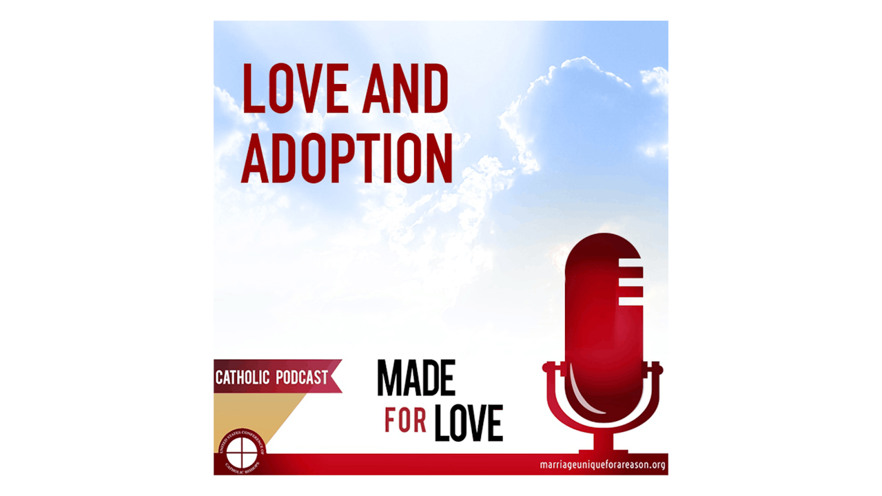 love-and-adoption-formed