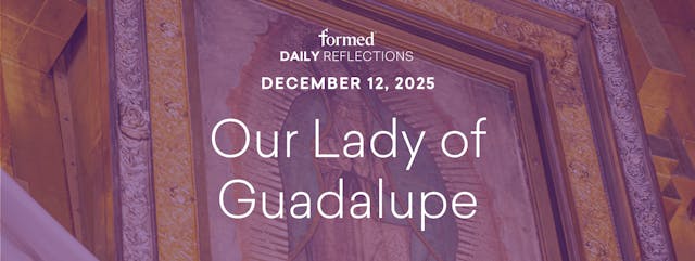 Daily Reflections — Our Lady of Guada...