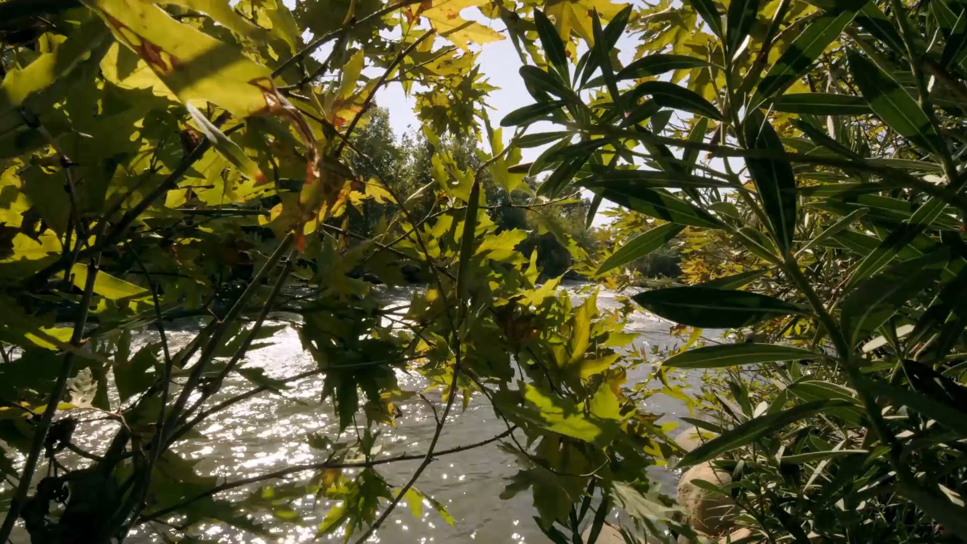 La Confirmación: Consagrados para una misión