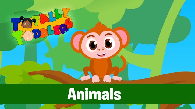 Animals | Totally Toddlers