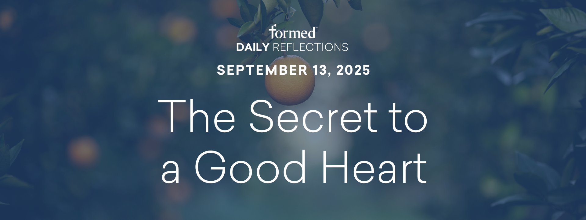 Daily Reflections — September 13, 2025