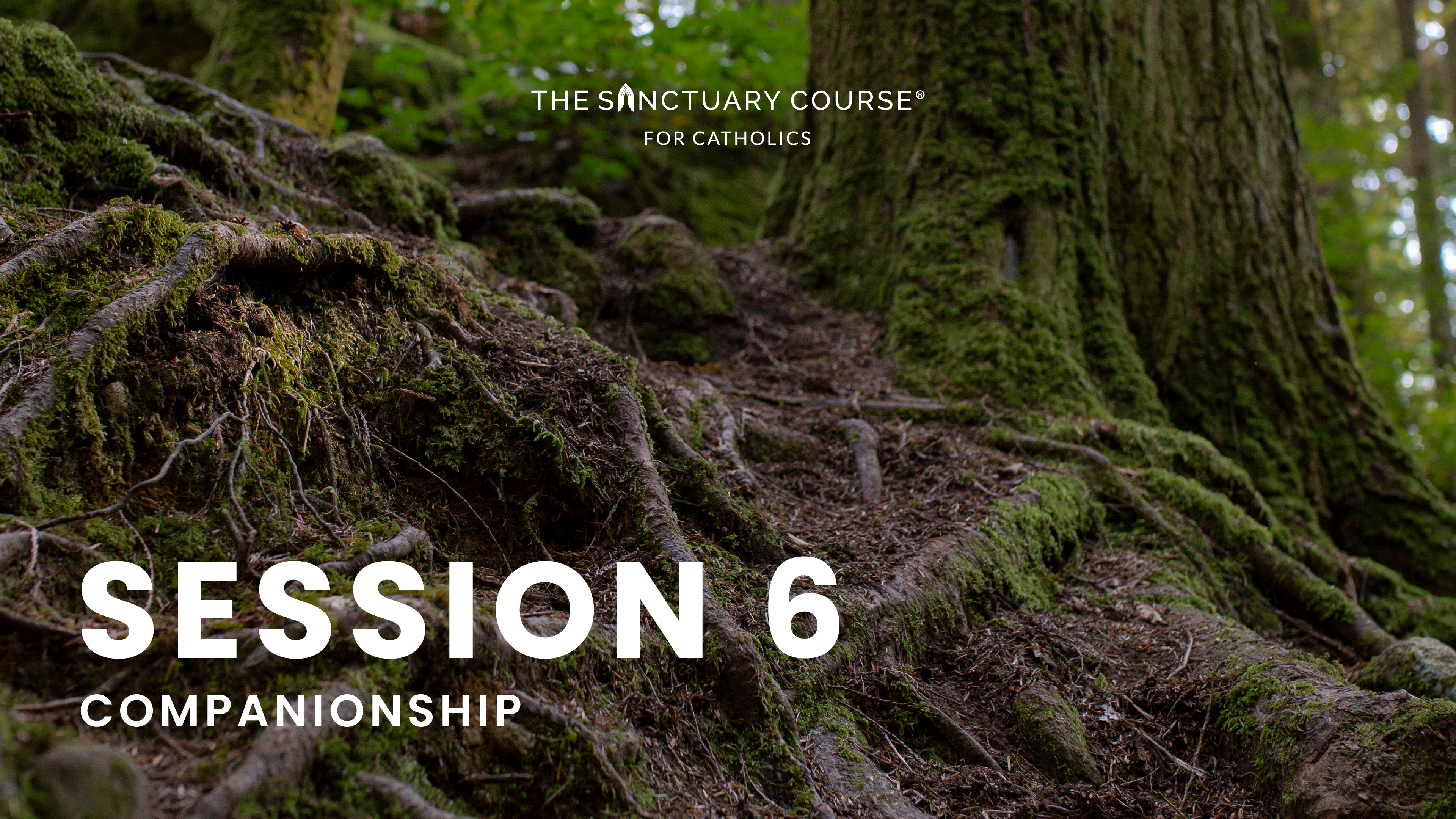 Session 6: Companionship
