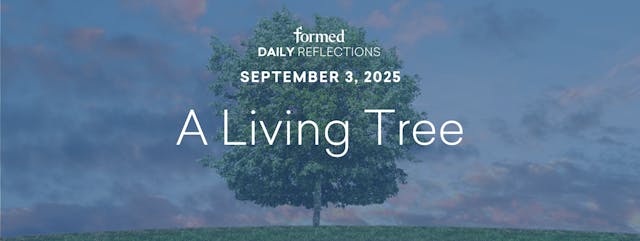 Daily Reflections — September 3, 2025