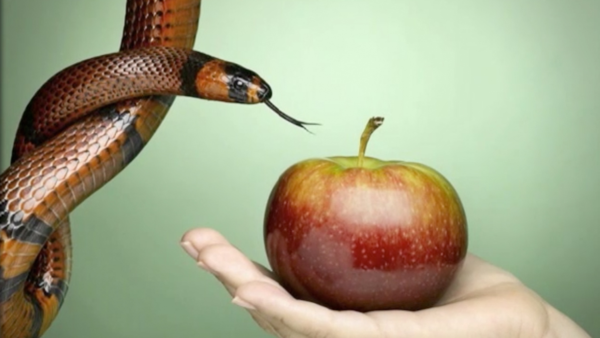 El Pecado y sus consecuencias