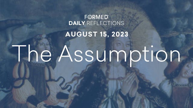 Daily Reflections — Feast of the Assu...