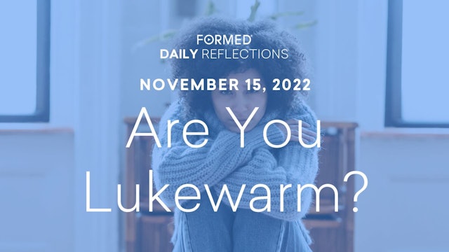 Daily Reflections – November 15, 2022