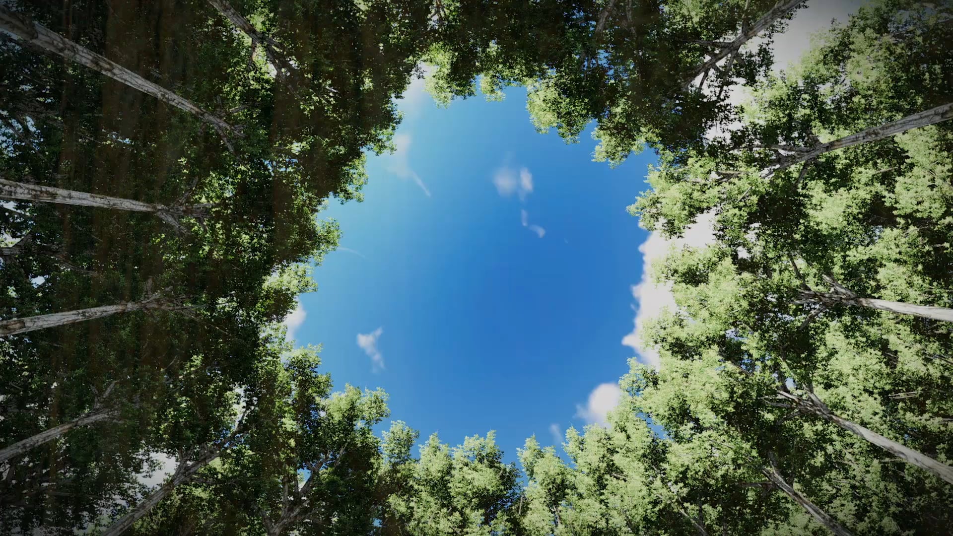 La Vida en Cristo, Parte I