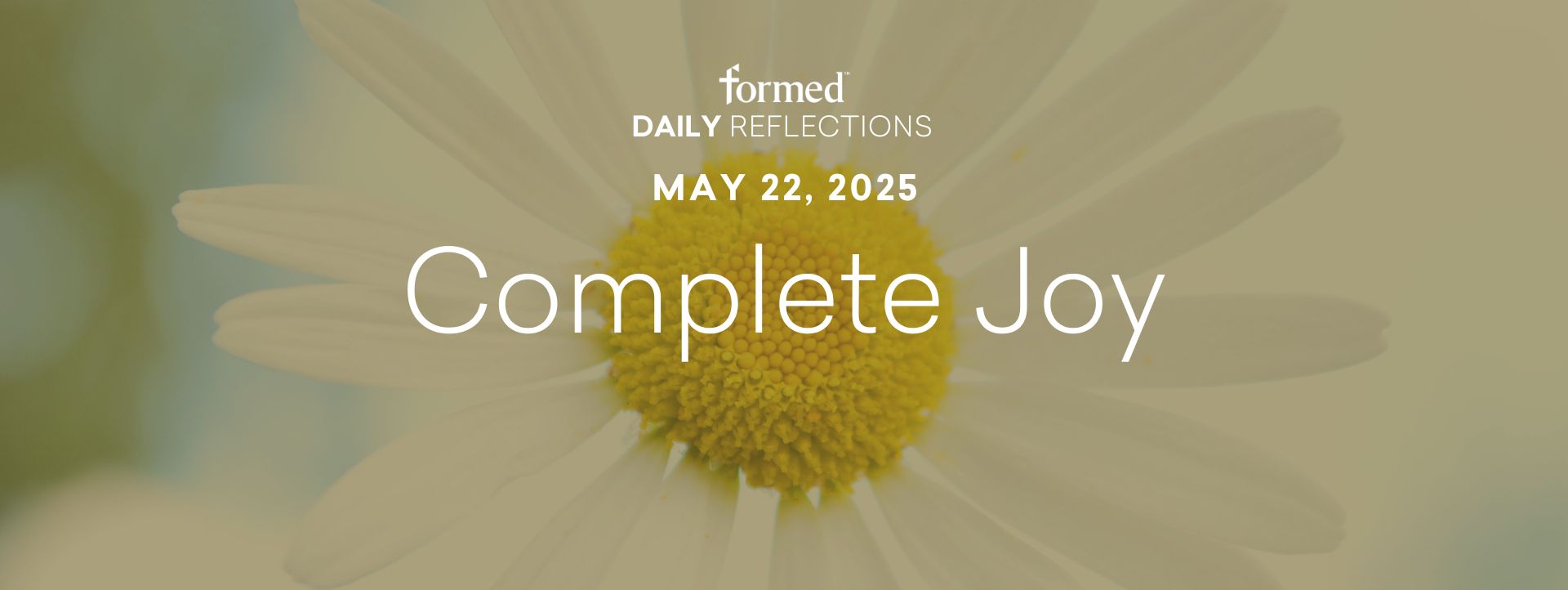 Easter Daily Reflections — May 22, 2025