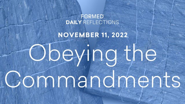 Daily Reflections – November 11, 2022