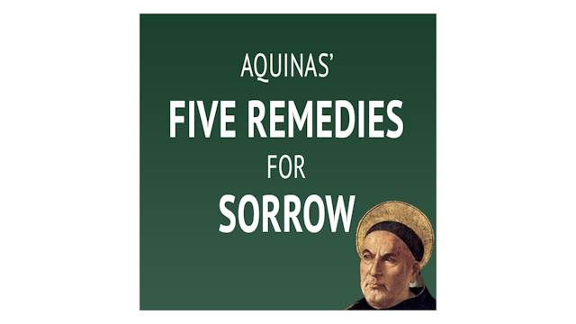 Aquinas' 5 Remedies for Sorrow with Fr. Damian Ference