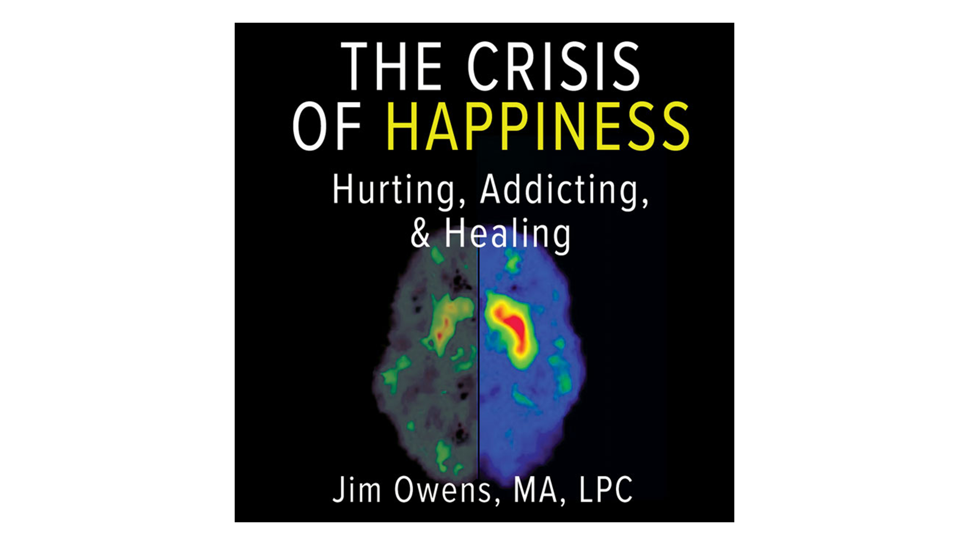 The Crisis of Happiness: Hurting, Addicting, and Healing by Jim Owens