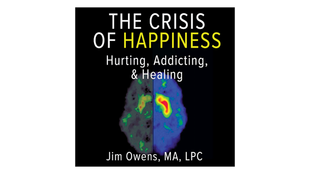 The Crisis of Happiness: Hurting, Addicting, and Healing by Jim Owens