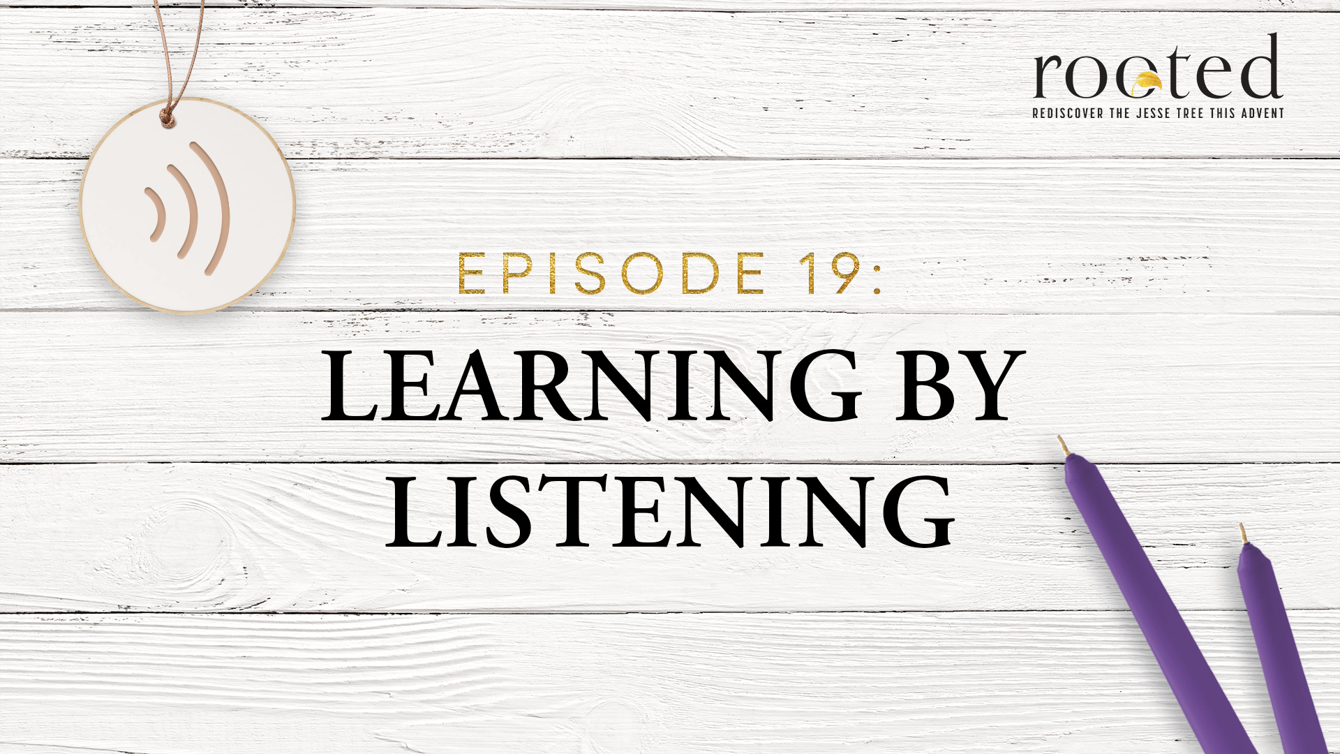 Learning by Listening | Rooted | Episode 19