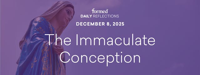 Daily Reflections — the Immaculate Co...