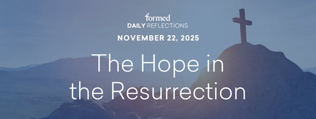 Daily Reflections — November 22, 2025
