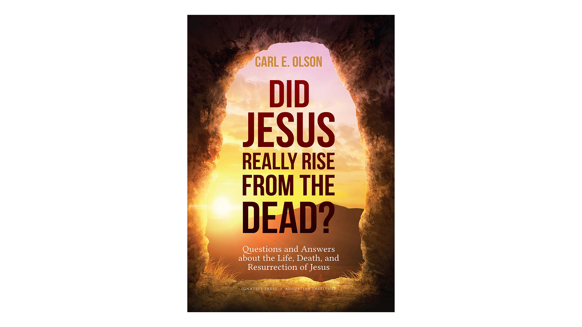 Did Jesus Really Rise from the Dead? by Carl Olson