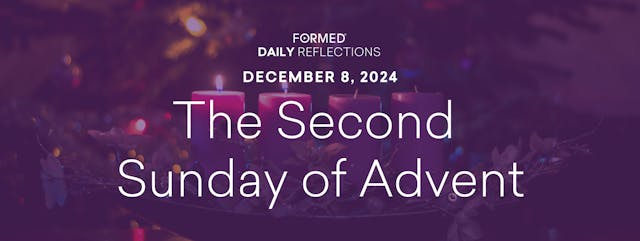 Daily Reflections – December 8, 2024