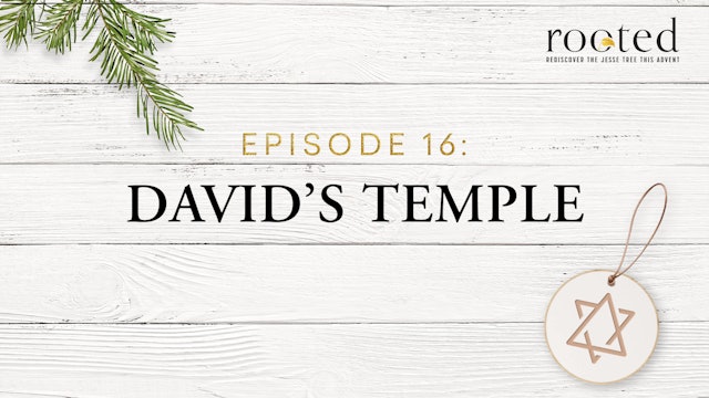 David’s Temple | Rooted | Episode 16